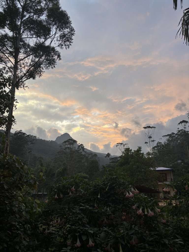Adams Peak - showing how high the hike to the top is