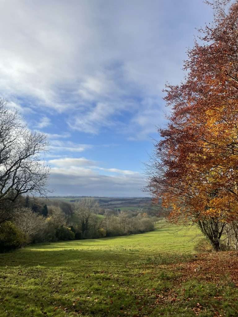 cotswolds in autumn, sunshine with autumn leaves