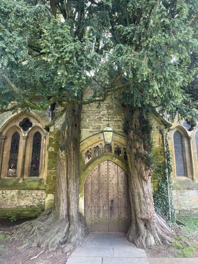 famous door in stow on the wold - yew tree