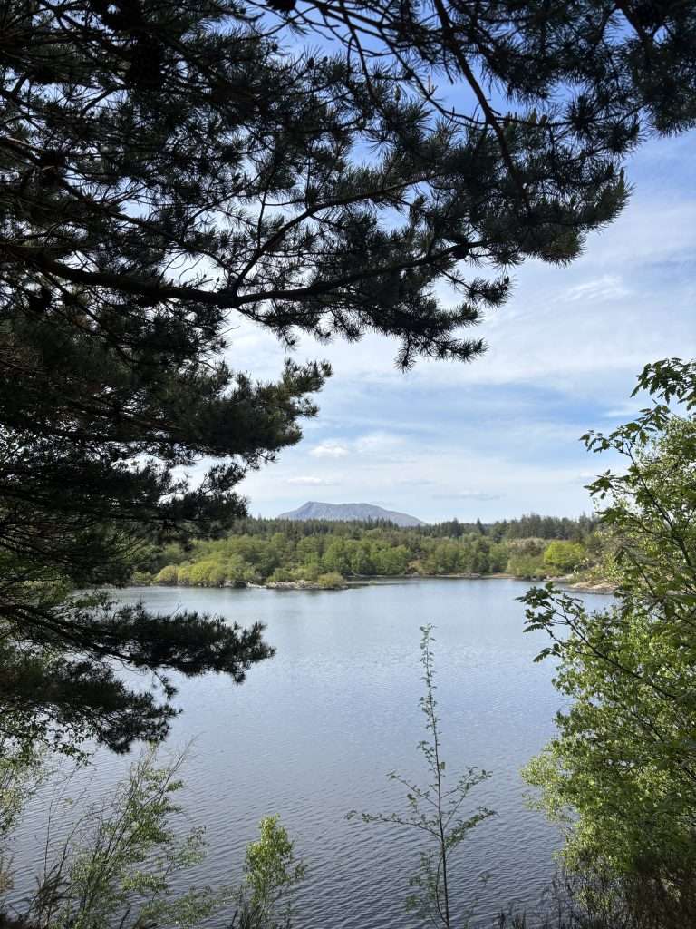 views of the mountains in wales at llyn elsi walk