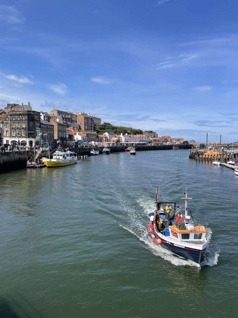 whitby in north york moors national park