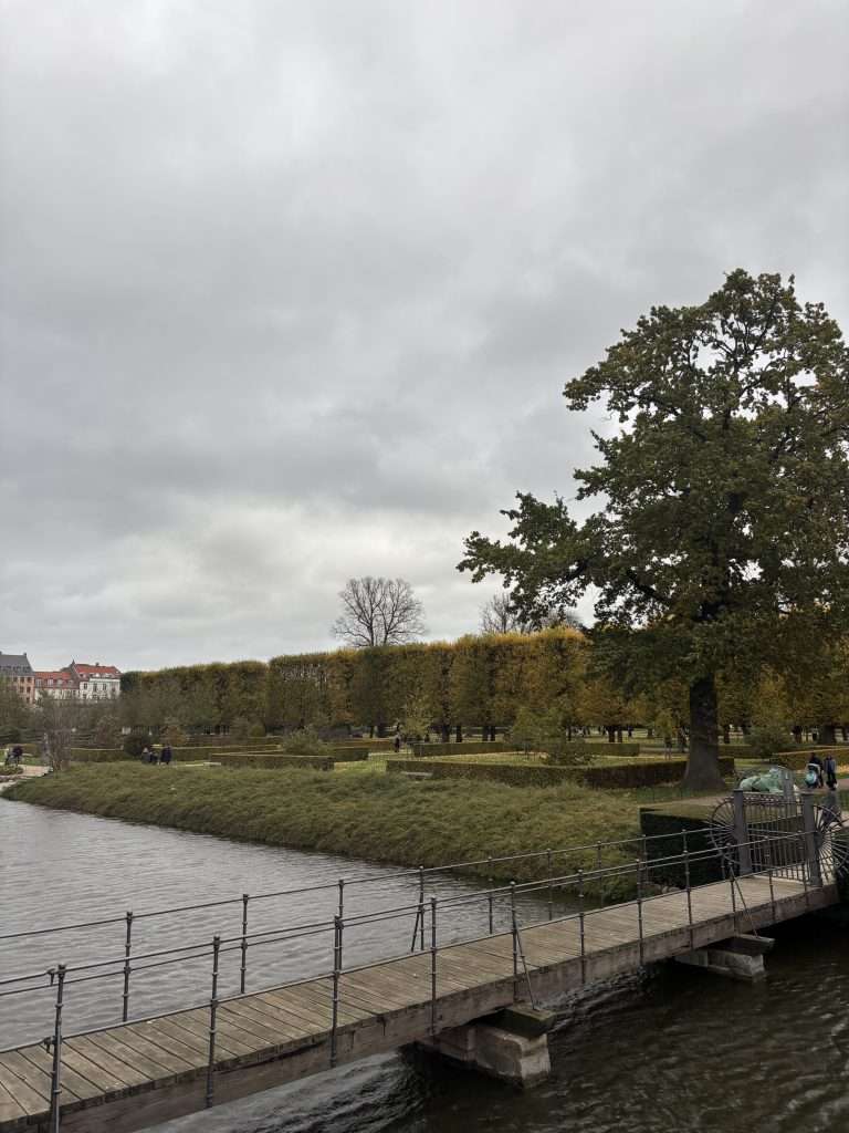 Tree-lined path in The King’s Garden with fallen leaves covering the walkway.