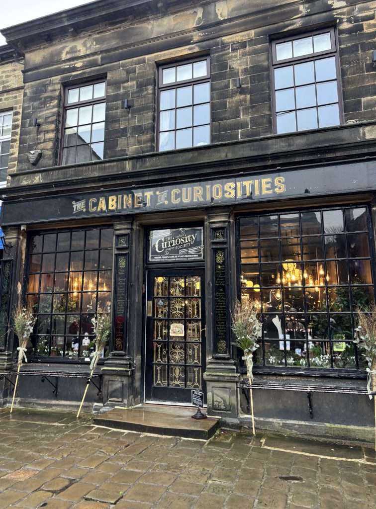 cabinet of curiosities in haworth - independent shop in haworth.